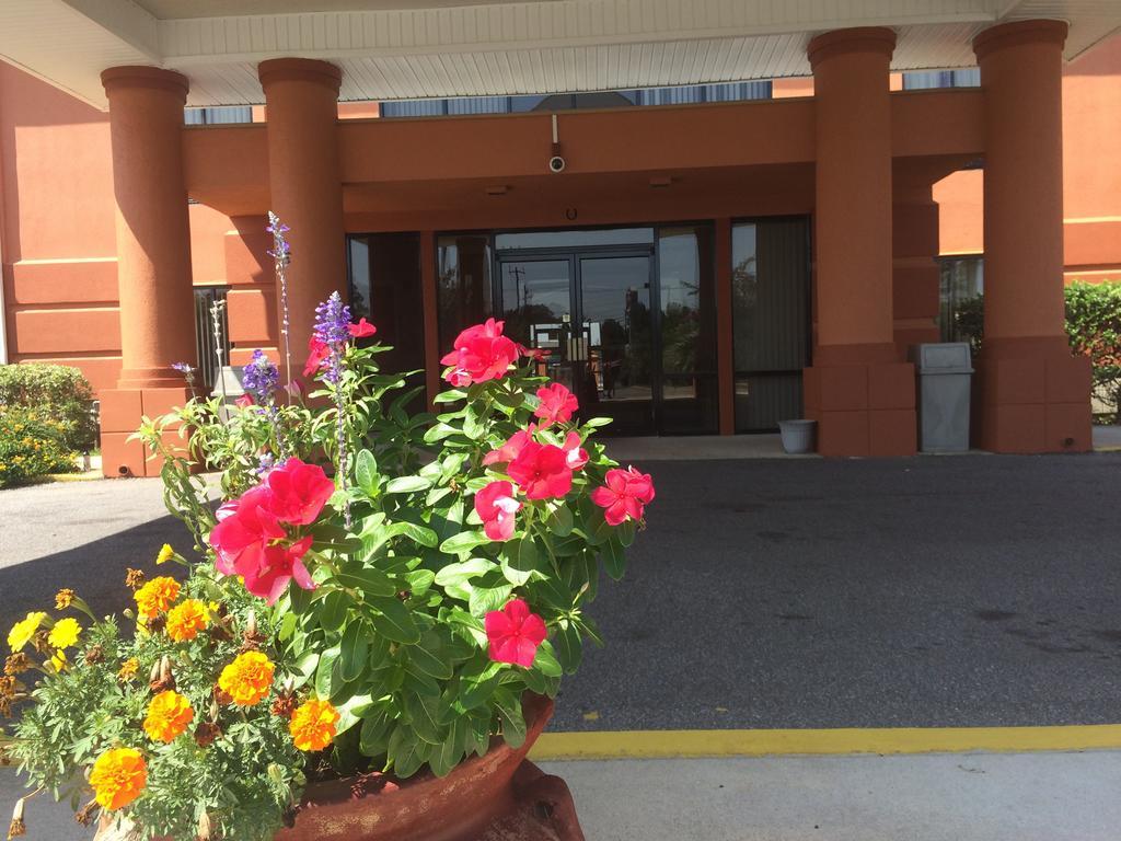 Luxury Suites Pensacola Buitenkant foto